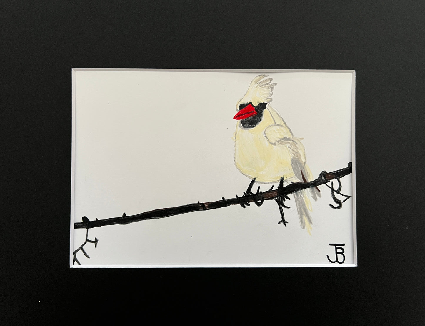 Winter White Cardinal