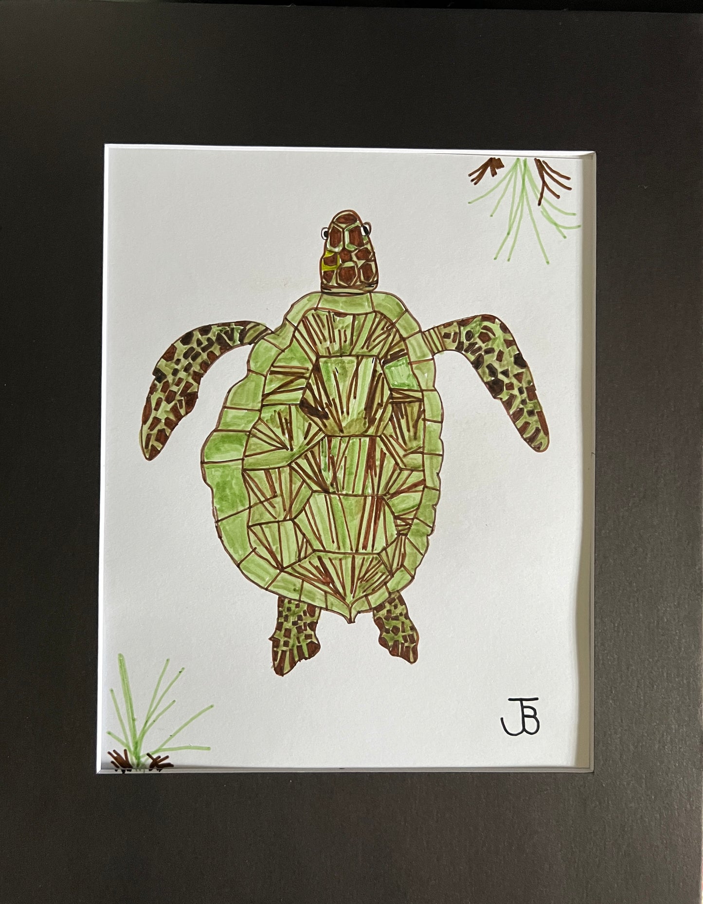 Sea Turtle
