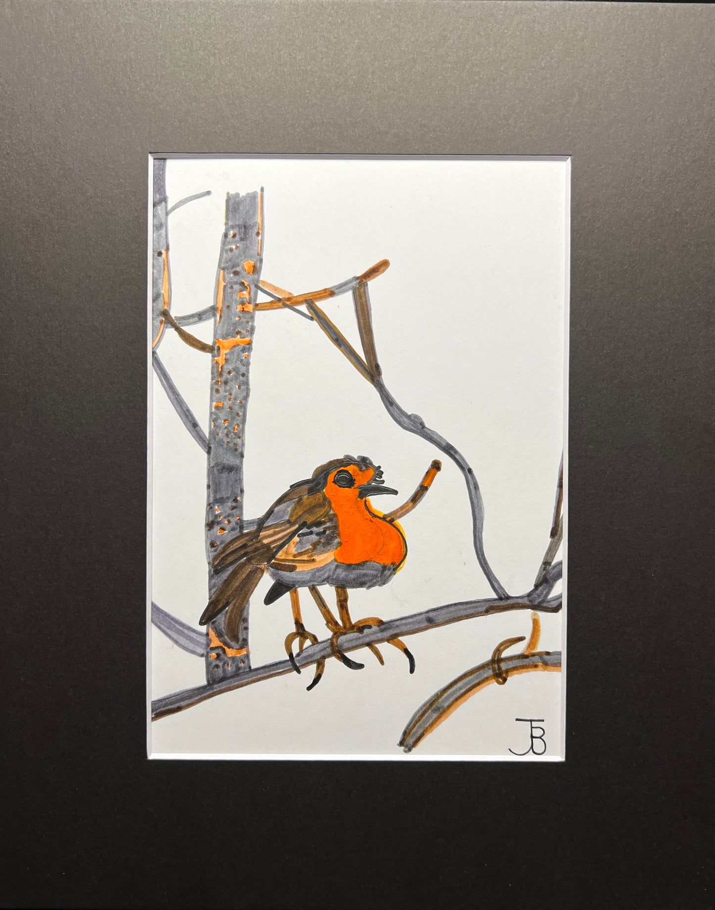 WINTER ROBIN