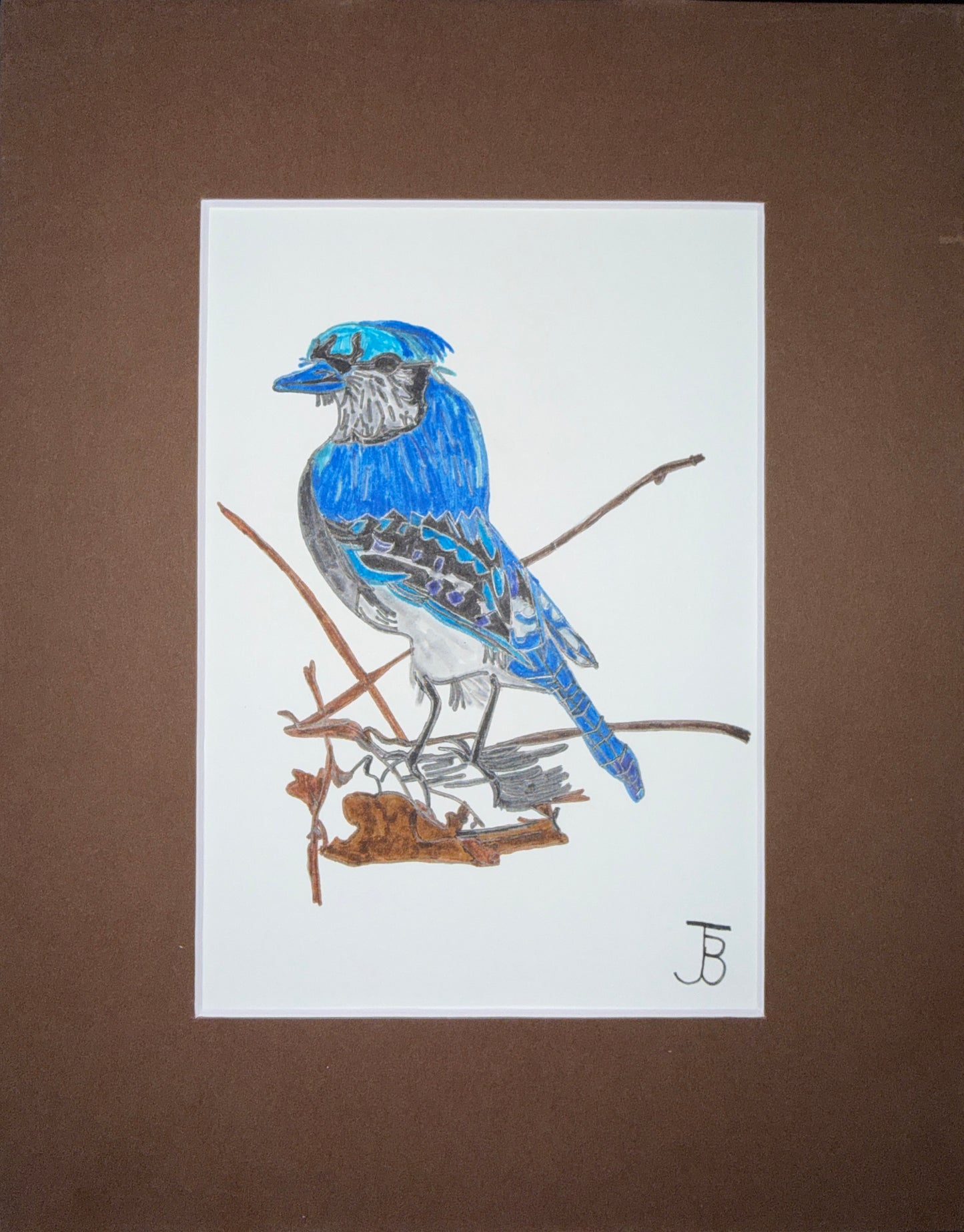 Blue Jay