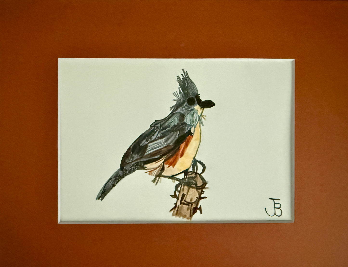Tufted Titmouse